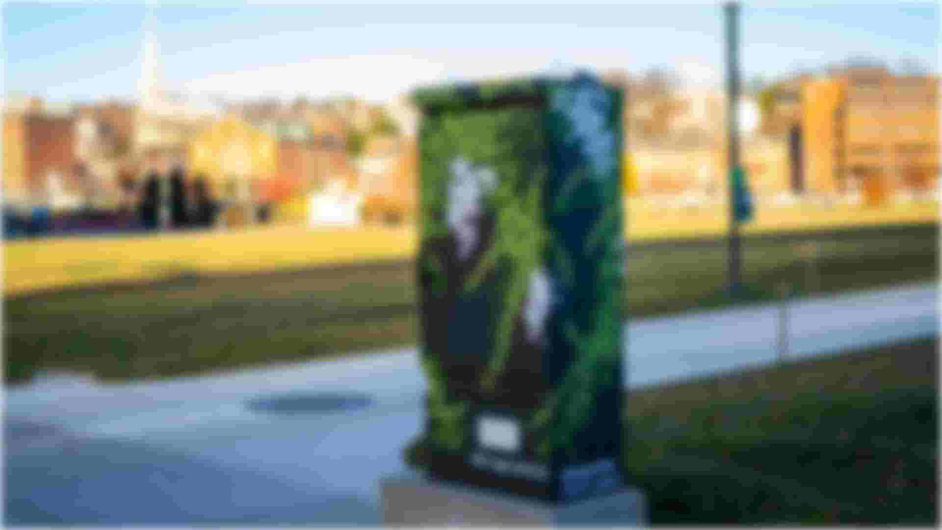 The image shows a decorated utility box in 195 District Park. The box is covered in a green and white vine design, with leaves and small flowers.
